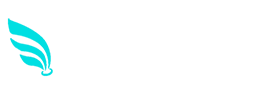 AMIRZADEGAN COMPANY